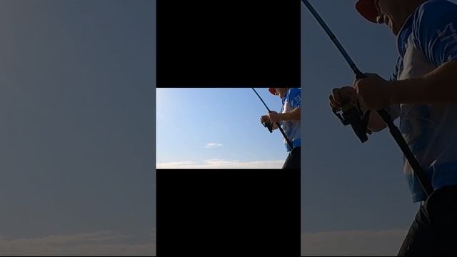 Вываживание сома Астрахань #рыбалка2024 #рыбалкавастрахани #летняярыбалка2024 #рыбалка смотреть онлайн