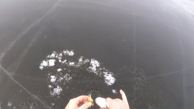 Раскаты Астрахань Зимняя рыбалка 2021 Ловля на жерлицы и балансир Опасный лед смотреть онлайн