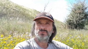 ТЫСЯЧЕЛИСТНИК ОБЫКНОВЕННЫЙ. О разновидностях. Как применять, что лечит. "Белые лекарственные травы"