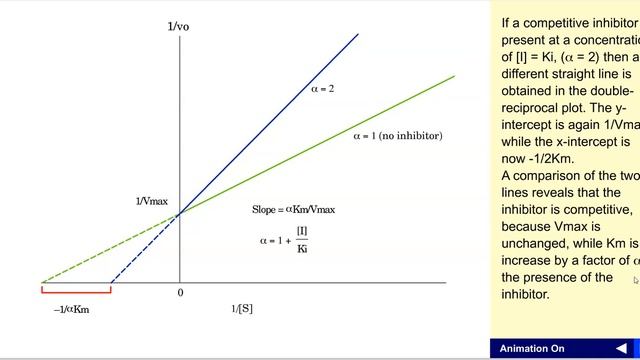 Lineweaver Burk competitive inhibitor смотреть онлайн