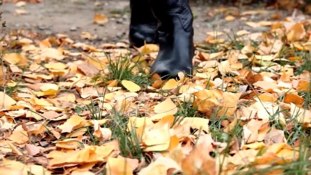 Три осенних образа на каждый день // autumn lookbook смотреть онлайн