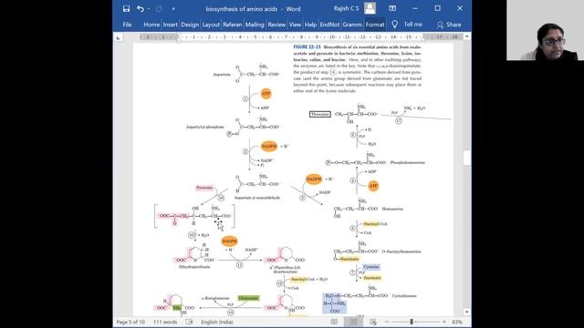 8 biosynthesis of essential amino acids part 5 смотреть онлайн