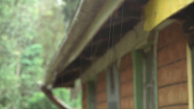 Shamba Shape Up Sn 10 - Ep 2: GreenHouse, Soil, Intercropping and Cookstove (English) смотреть онлайн