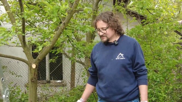 Димитър Михов - "Резитба и грижа за овошки, ашландисване" - Сгледници - пролет 2024 смотреть онлайн