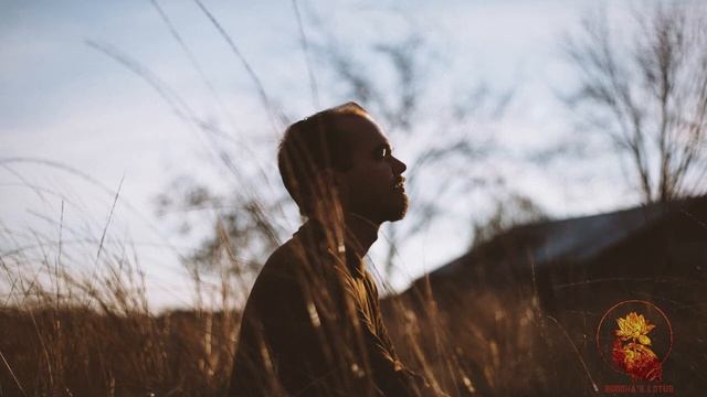 Vipassana Guided Meditation ॐ || Mindfulness || Eradicate Impurities Liberate Yourself to Happiness смотреть онлайн