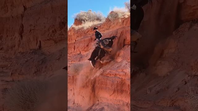 Я бы не стал просить свою лошадь сделать это смотреть онлайн