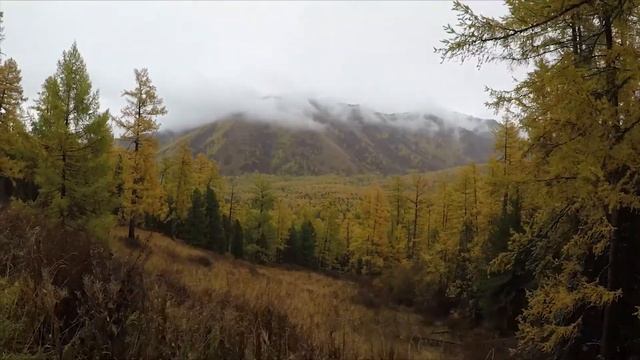 Алтай 2018 смотреть онлайн