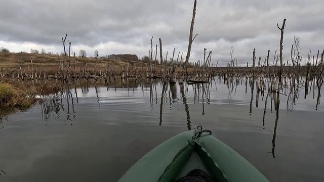 Водная прогулка по озеру и р. Упокой. Лебеди🦢 смотреть онлайн