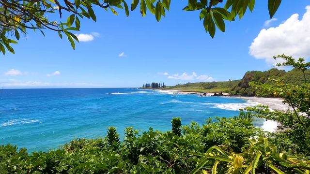 Aloha Maui： 3 Hours of Soothing Relaxation From Hawaiian Islands смотреть онлайн