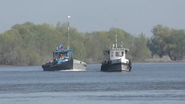 Тысячи рыбаков на реке Рыбалка в Астрахани Вобла смотреть онлайн