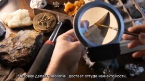 объективная реальность