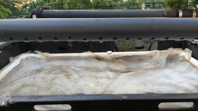 Update on water clarity and the wonders of filter-floss!! смотреть онлайн