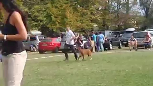 Tempo Vivace Amoteamo V-3 open class Ch Italia 2009 VIDEO 2 смотреть онлайн