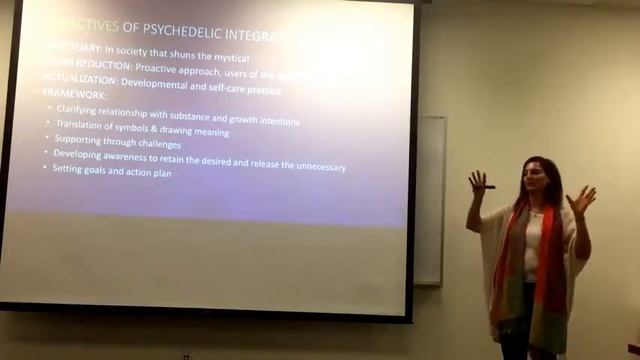 Psychedelic Integration: The Visionary Experience Realized | The Psychedelic Integration Coach смотреть онлайн