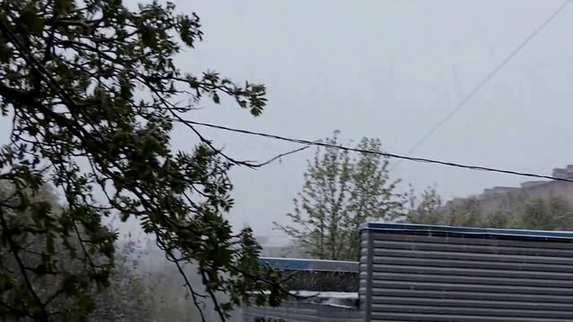 лето за полярным кругом. июнь смотреть онлайн