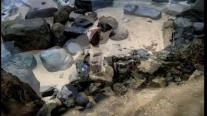 Максим - На Радиоволнах