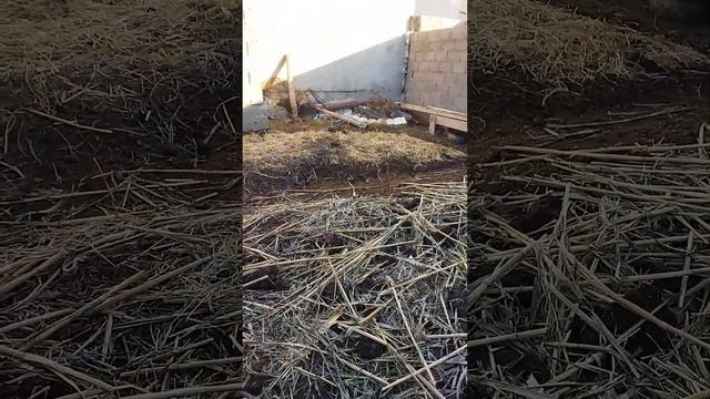 Шу қаласы.87025183690 Шылаушан#қыска дайындык смотреть онлайн