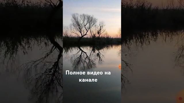 Рыбалка в Астрахани #рыбалкавастрахани #рыбалка #fishing смотреть онлайн