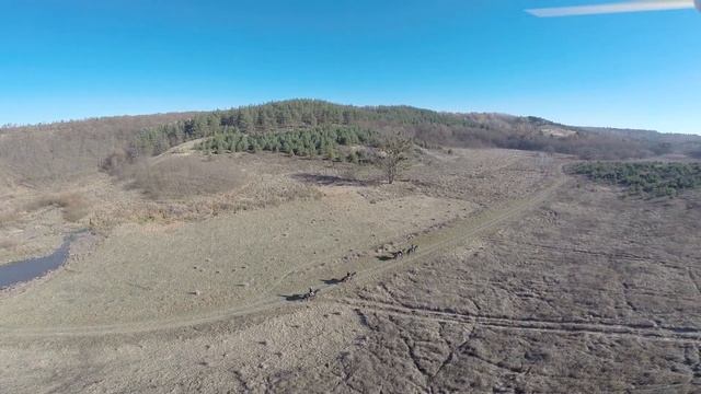 Лошадки Уляники смотреть онлайн