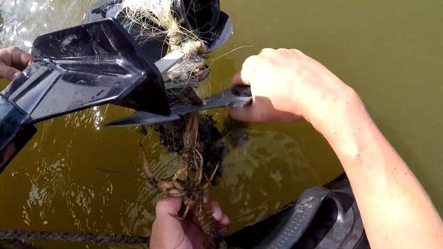 Сплав по реке Волга на лодке пвх Вот такая рыбалка в Астраханской области может быть на спаде воды смотреть онлайн