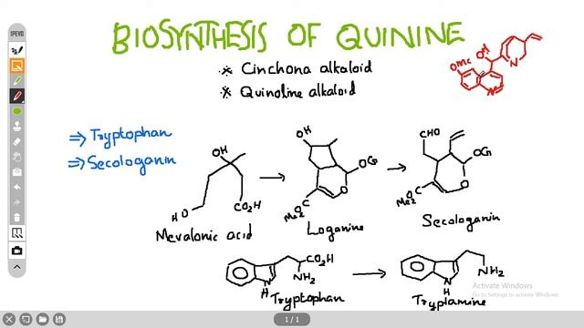Biosynthesis of Papaverine and Quinine смотреть онлайн