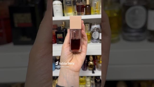 Лучшие люксовые ароматы для ноября #парфюмерия #рек #духи #рекомендации #парфюм #shorts #подпишись смотреть онлайн