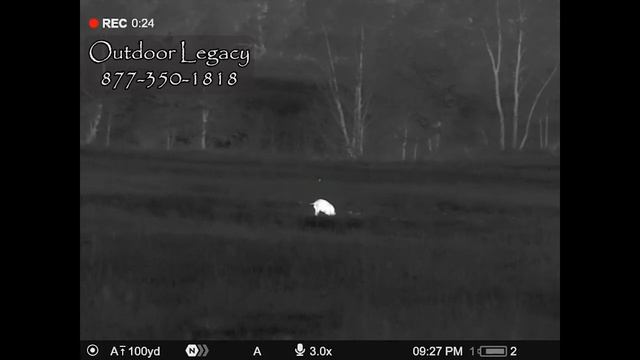 Pulsar Thermion 2 XG50 LRF | The best "all-around" thermal scope? смотреть онлайн