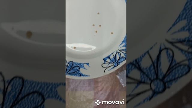 ТОМАТ ВОЛЬВЬЕ СЕРДЦЕ МИНУСИНСКОЕ ПОСАДКА ЕГО НА РАССАДУ. ОГОРОД НА КУБАНИ. shorts# смотреть онлайн