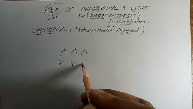What are dark reactions, Malvin Calvin cycle, photosynthetic pigments, photosystems, gs Academy, смотреть онлайн