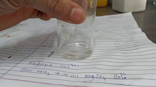 Detect the presence of protein | Ring test| Robert's solution | presence of albumin| 11th CBSE #lab смотреть онлайн