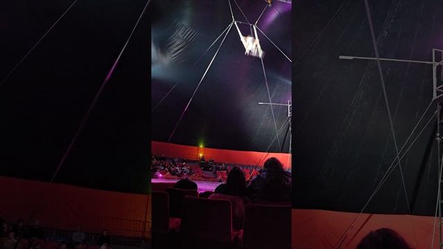Gravity Circus - Equilibrium смотреть онлайн