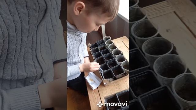 ЮНЫЙ АГРОНОМ САЖАЕТ СЛАДКИЙ ПЕРЕЦ ДЛЯ ШКОЛЬНОЙ ТЕПЛИЦЫ. ОГОРОД НА КУБАНИ. shorts# смотреть онлайн