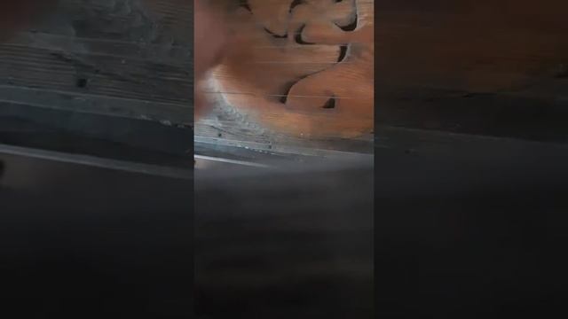 ГУсла🌎TERRA смотреть онлайн