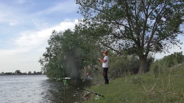 Одни утаскивают спиннинги в воду, другие ломают катушки Удачная рыбалка на Ахтубе 2021 смотреть онлайн
