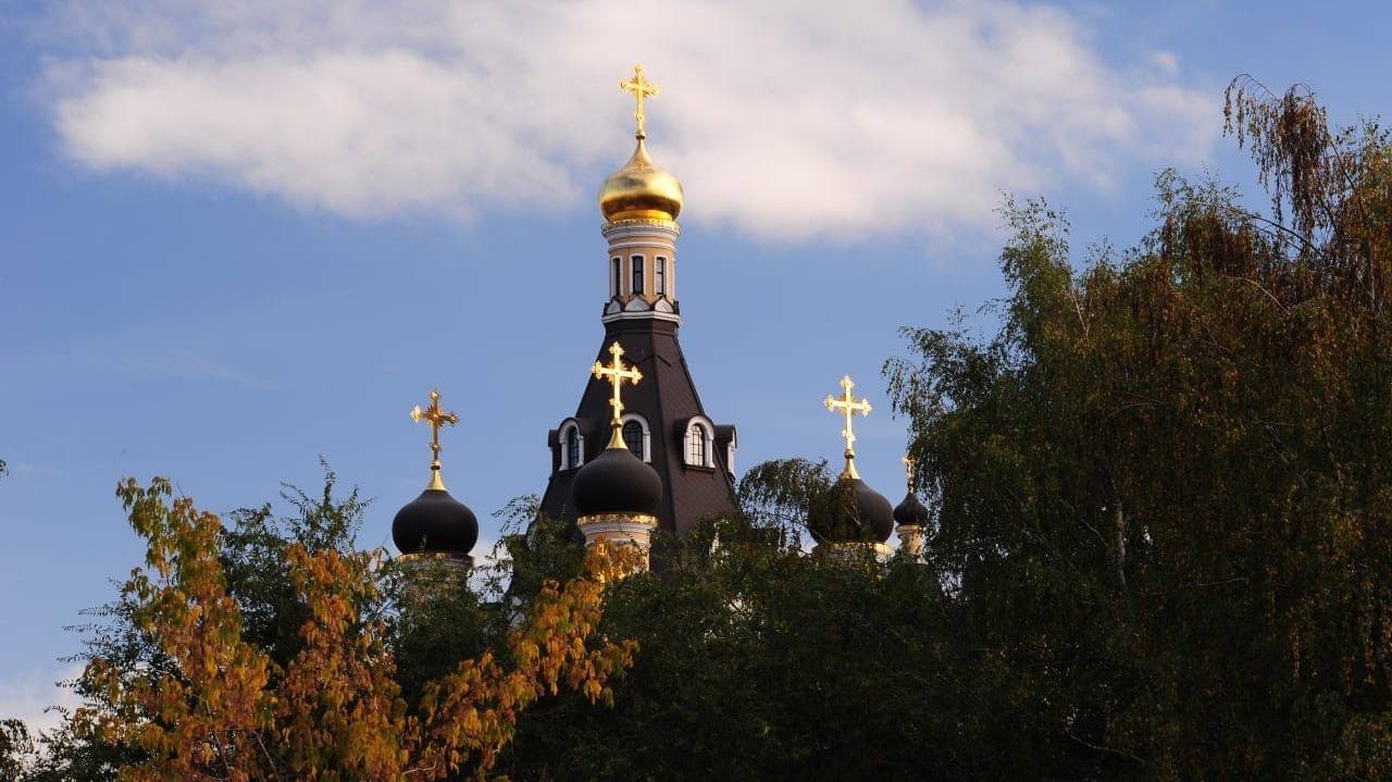 Прямая трансляция. Всенощное бдение. Прп Иоанникия Великого 16.11.2024 смотреть онлайн