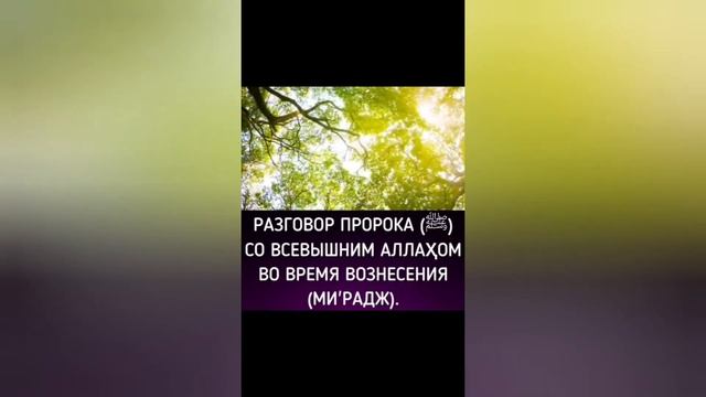 Разговор Пророка Мухаммада со Всевышним Аллахом смотреть онлайн