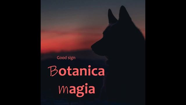 Botanica magia - Ukuru смотреть онлайн