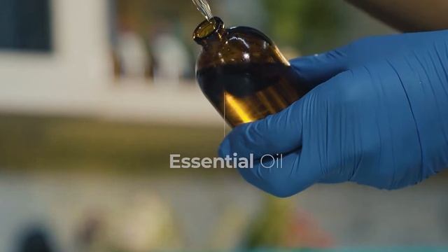 MANA Kitchen Series - How Geranium and Chamomile Shampoo is made? смотреть онлайн