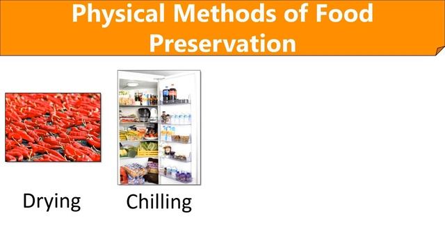 Food Preservation Techniques Definition, Principle, Physical & Chemical Methods смотреть онлайн