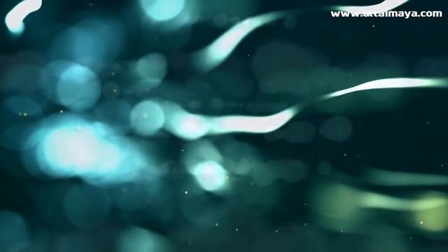 Беседы с цивилизациями. Вопрос-ответ. (часть 3) смотреть онлайн
