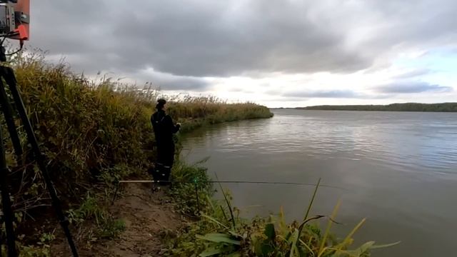 КОНЦЕНТРАЦИЯ РЫБАКОВ В АСТРАХАНИ ЗАШКАЛИВАЕТ Ну и мы с В ПОИСКАХ ЕРША туда же Рыбалка в самой дельте смотреть онлайн