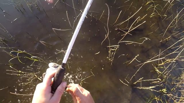 Сазаны ломают сторожки Сом утаскивает спиннинг Удачная рыбалка на Ахтубе смотреть онлайн