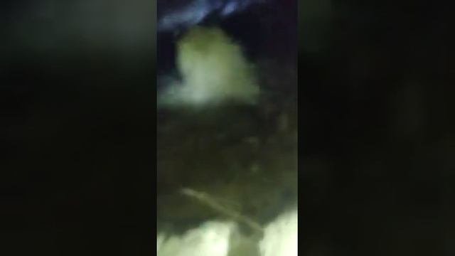 самоизлив со скважины смотреть онлайн