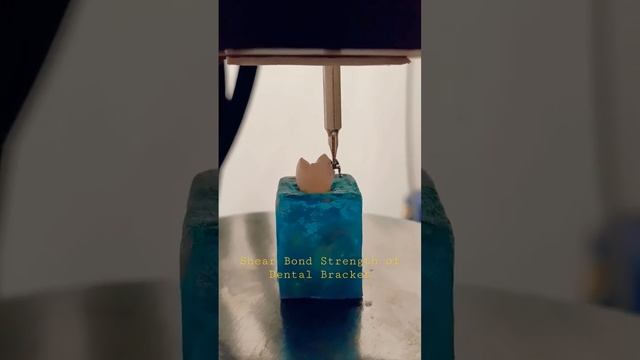 Shear Bond Strength of Dental Bracket Material смотреть онлайн
