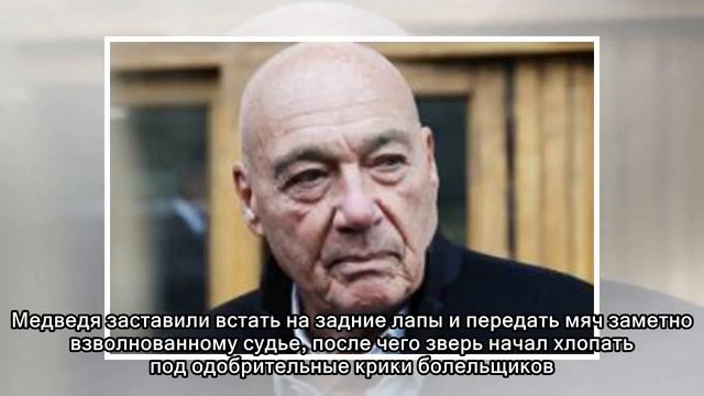 Медведь дает старт футбольному матчу российских команд, и это вызывает возмущение смотреть онлайн
