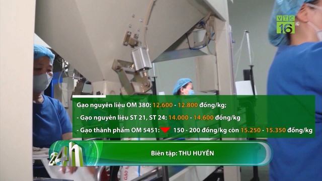 Nạn trộm cà phê ở Tây Nguyên: Mất sạch sau 1 đêm | VTC16 смотреть онлайн