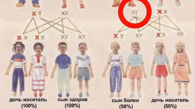 Всемирный день гемофилии смотреть онлайн