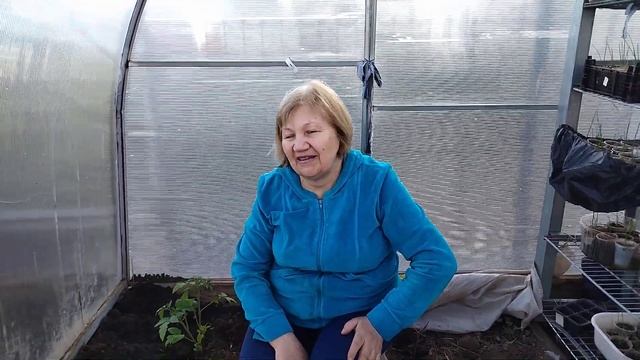 ГИБРИДЫ НА ПОСТОЯННОМ МЕСТЕ смотреть онлайн