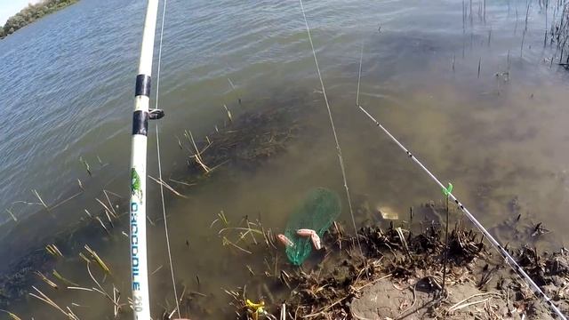 Эту рыбалку я запомню на всю жизнь Осенняя рыбалка в Астрахани смотреть онлайн