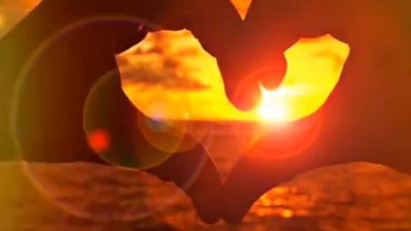 Мачид алипур